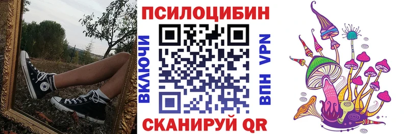 где найти наркотики  Оренбург  Псилоцибиновые грибы MAGIC MUSHROOMS 